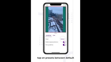 How to Add Guidelines (with Veme.ly)