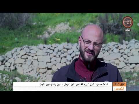 عين على القدس التقرير قصة صمود قرى غرب القدس أبوغوش عين رافا وعين نقوبا