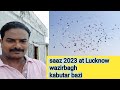 Saaz at lucknow pigeon lovers up ke ustad