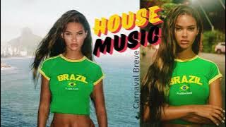 David Mackay & Leo Middea ft. Dela Sur - Carnaval Breve