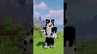 sprawdź Hostomi! tani i dobry #minecraft #hosting #hostomi