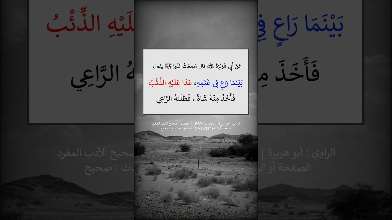 بينما راعٍ في غنمه عدا عليه الذئب ---- الشيخ عبد الرزاق البدر