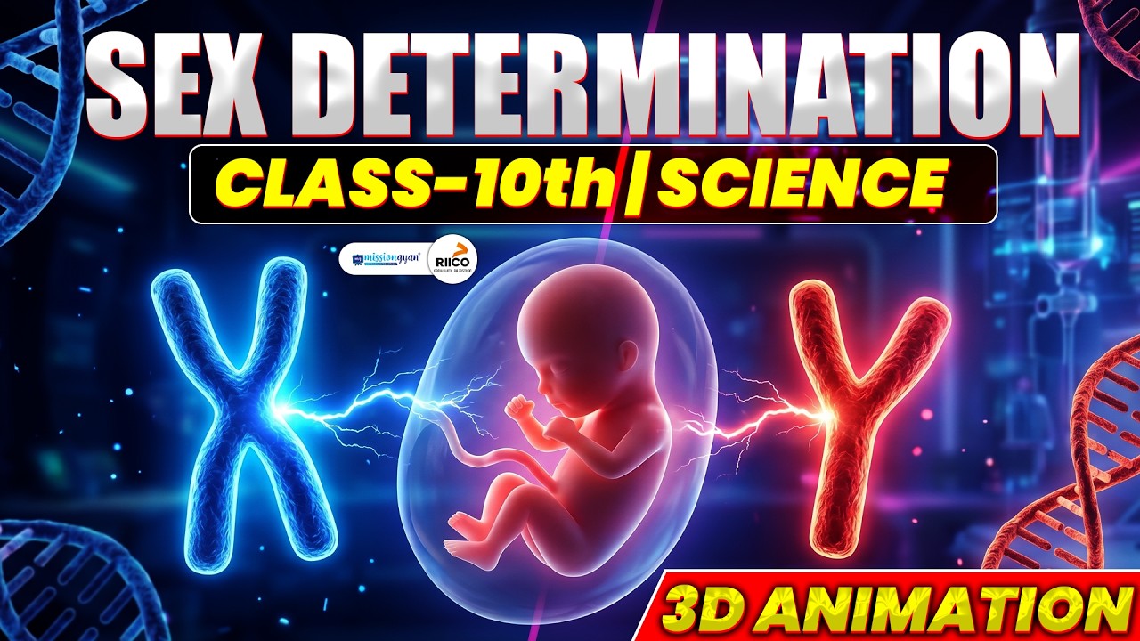 🧬 Sex Determination in Humans | Class 10 Science | 3D Animated Learning