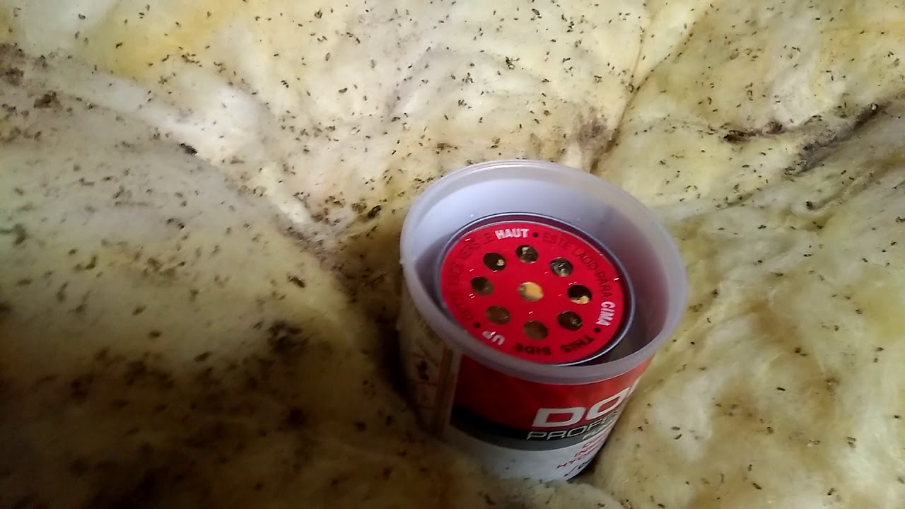 Fumigène pour cafards ou autre YouTube