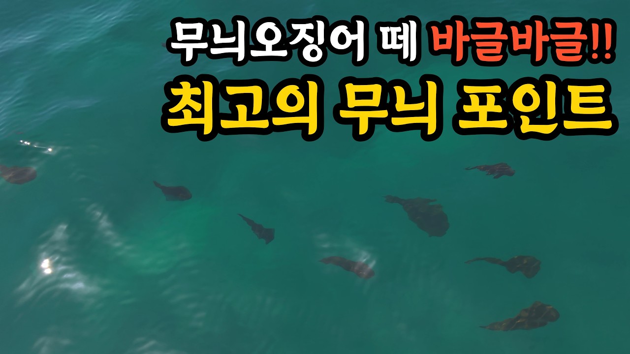 무늬오징어를 잡는 두가지 낚시 방법