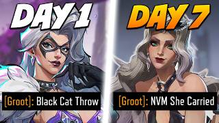 GM to Celestial Black Cat Only But I've Never Played Dive...