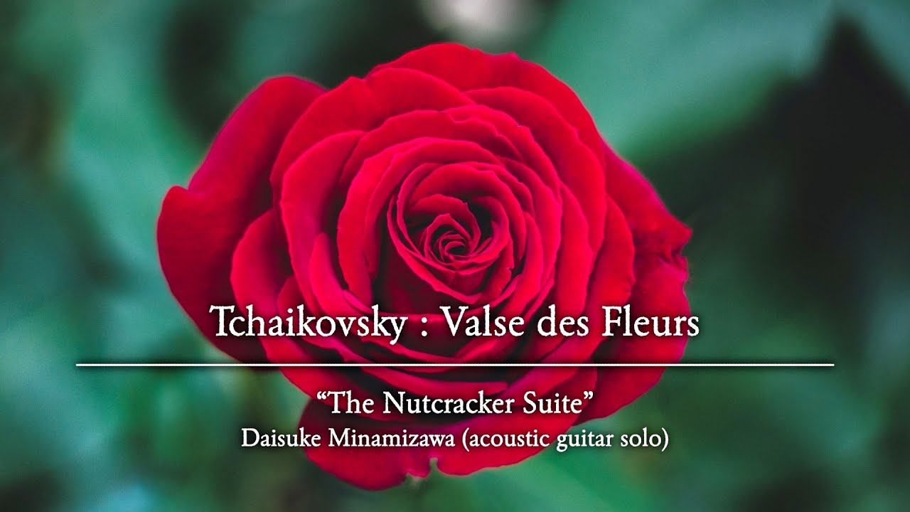 Tchaikovsky : Valse des Fleurs / Daisuke Minamizawa