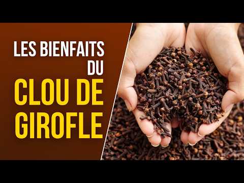 Clove: the natural “Mr. Clean” that eliminates viruses and bacteria