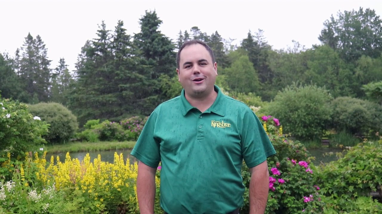 Kingsbrae Garden Bottle Cap Challenge