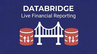 Building Advanced P&L and Balance Sheet Reports in DataBridge