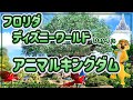 【ディズニーワールド】フロリダのアニマルキングダムを探検〈Day.4〉