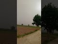 rain #viralshots #viralvideo #ytstudio #raining
