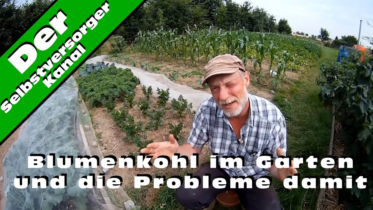 dnger bersicht Green Home Hanf- & Cannabis Dnger Set