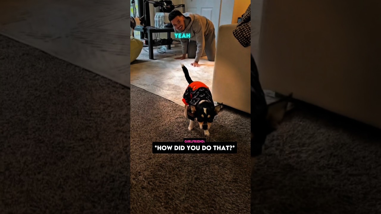 he's a fast learner🐶😂