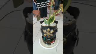 Pot bunga dari galon Le mineral