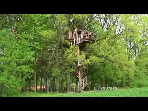 Δεντρόσπιτο - ξενοδοχείο