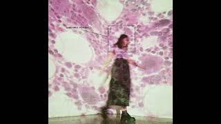 Soccer Mommy - Sometimes, Forever (2022)