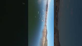 #FPVDrone#FPVFlying#CinemaFPV#DroneLife#DroneFlying#FPVCinematic#FPVLovers#FPVExperience#DroneRacing