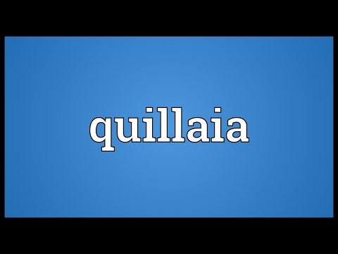 Video: Apa arti dari quillaia?