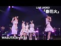 わーすた(WASUTA)「春花火」 Live Video