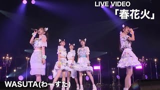 わーすた（WASUTA）「春花火」 Live Video