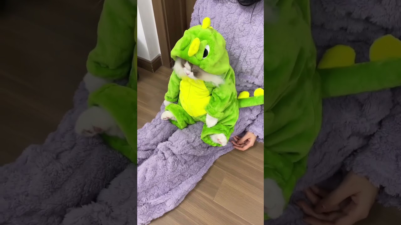 dinosaur cat　#cat #shorts #kitten