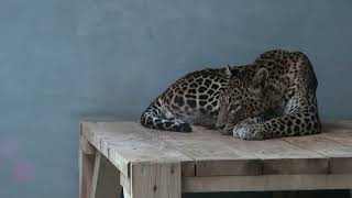 Zoo Bratislava Jeseň 2024