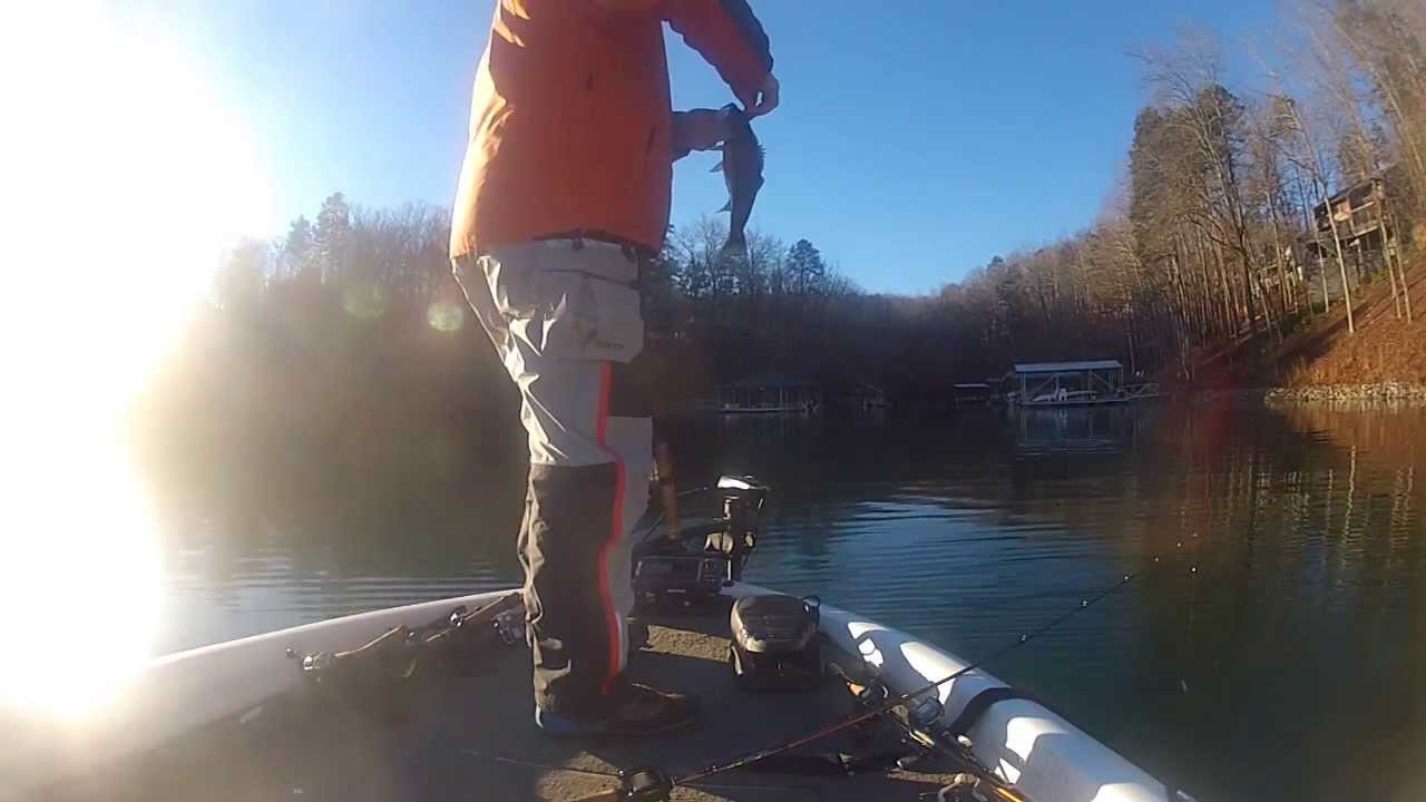 Catching Some Small Bass on Lake Keowee YouTube
