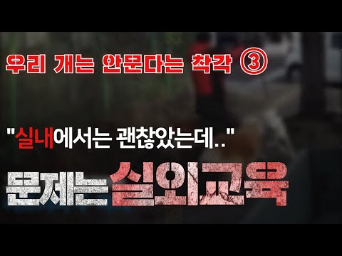 무는 강아지 &amp;quot;괜찮았는데..&amp;quot; 문제는 실외교육입니다.