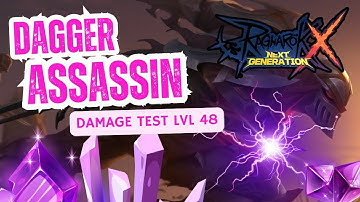ROX - GLOBAL DAMAGE TEST  dual dagger assassin lvl 48