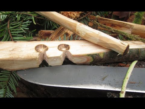 Ember From a Live Tree? - Green Wood Bow Drill