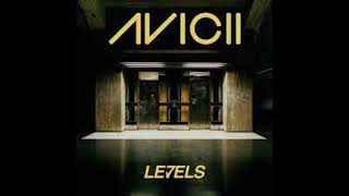 Avicii Levels 1 hour