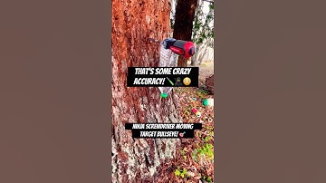 Moving Target Bullseye with Screwdriver! #shorts #ninja #skills #fypシ゚ #tools