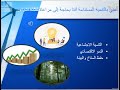فيديو التنمية المستدامة 