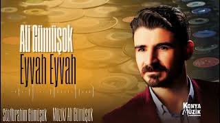 Ali Gümüşok - Eyvah Eyvah