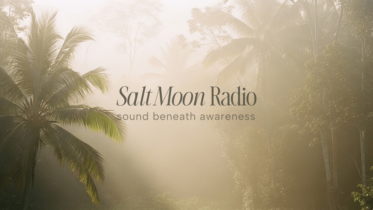 Slow Healing Flow #3 |  Meditative Playlist