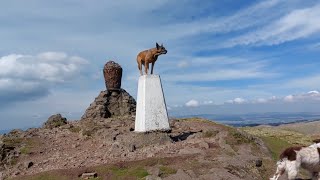 Ochil Hills - Dumyat - From Menstrie - Via Menstrie Glen