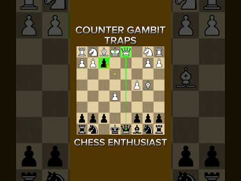 ������ ����� ����