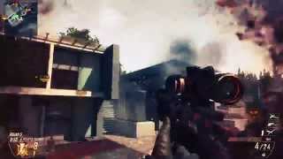 Gynx Prince - (BO2) Raid hitmarker!