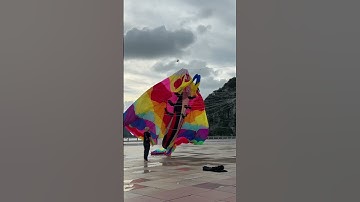 Thả diều các anh trai cố gắng lên diều cá đuối #patang #layangan #kite #kiteflying