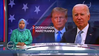 Waa maxay ceebaha ay leeyihiin Biden iyo Trump VOA Somali