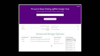 Pin-point Base Editing sgRNA Design Tool Pin-point Base Editing sgRNA Design Tool