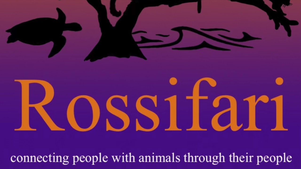 The Spider Man of Conservation with Tim Tetzlaff of The Naples Zoo