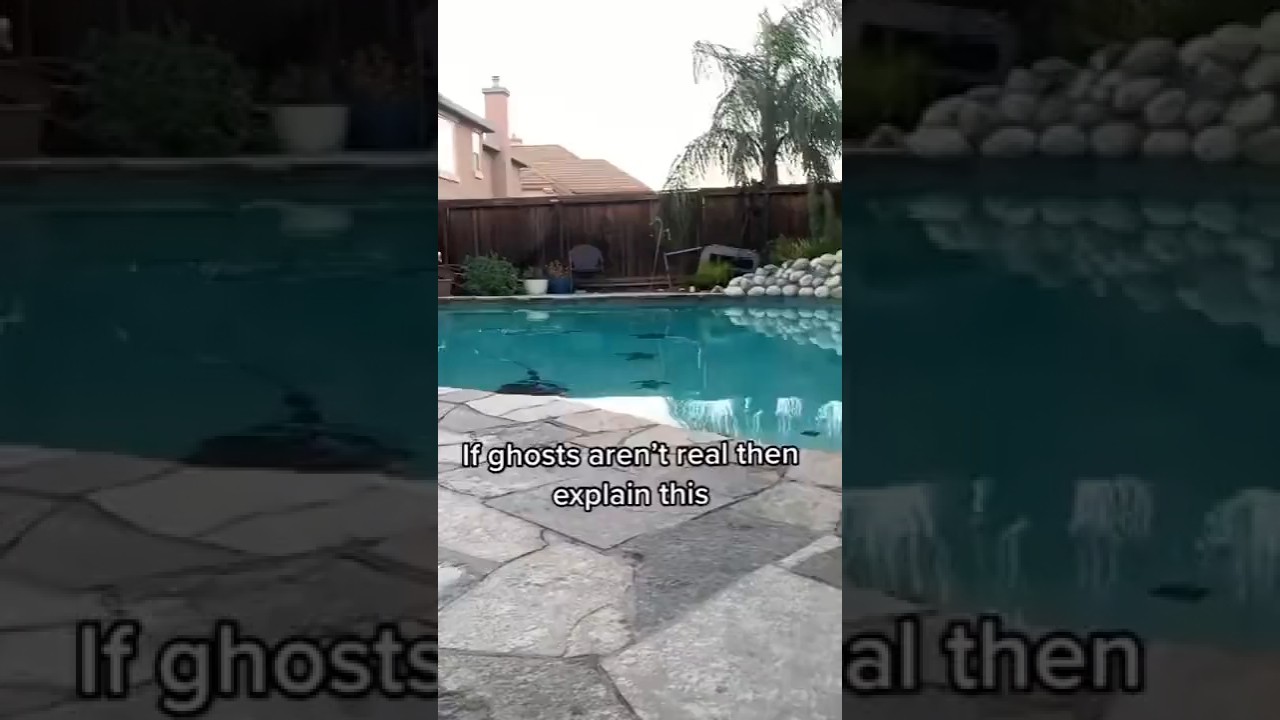 👻🐕 caught on camera 