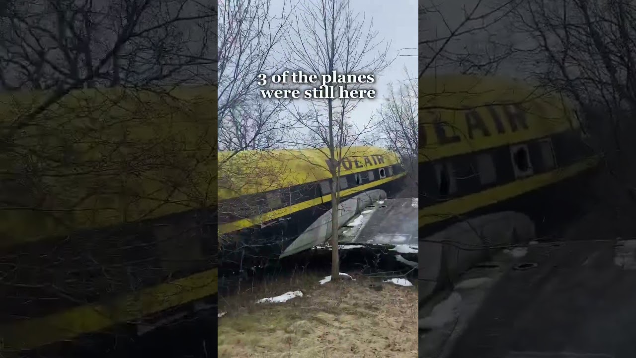 I went to check out some abandoned planes I found on Google Earth 