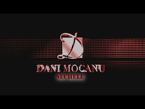 Dani Mocanu - Sechele  | Official Audio