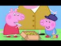 THE LOST GOLD! 💰 Peppa Finds Grandpa Pig’s Hidden Treasure | DNS Cartoons