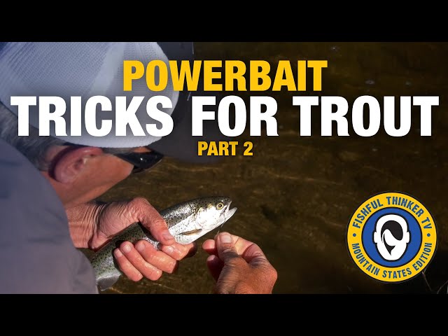 Euro-Style PowerBait Tricks for Trout, part 2 (fishing for trout