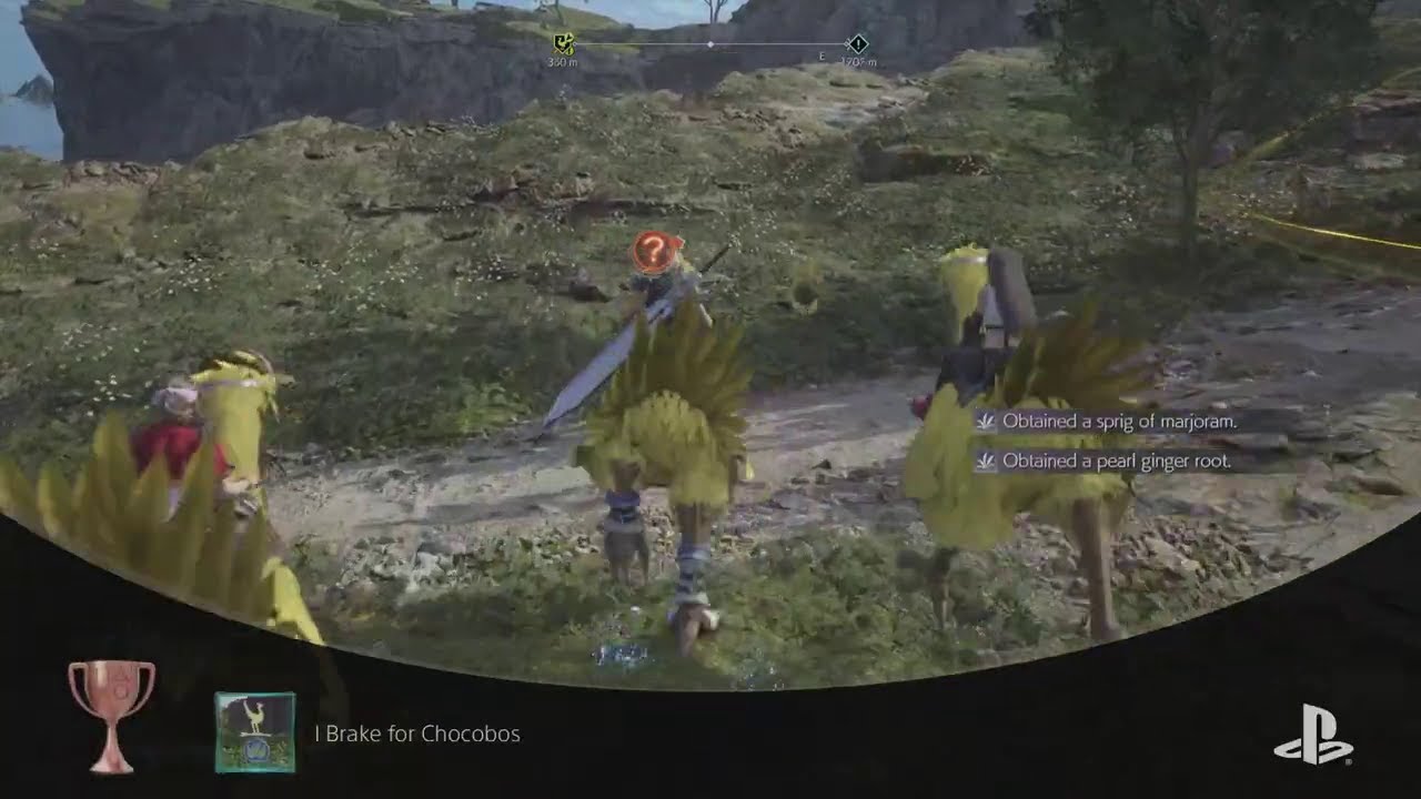 FINAL FANTASY VIII REBIRTH  - Expert Ex kweh-vator Trophy Snap