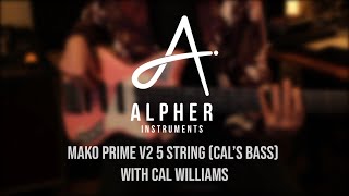My Alpher B - All Pickup Combinations My Buying Experience - Alpher Mako Prime V2 5 Sting
